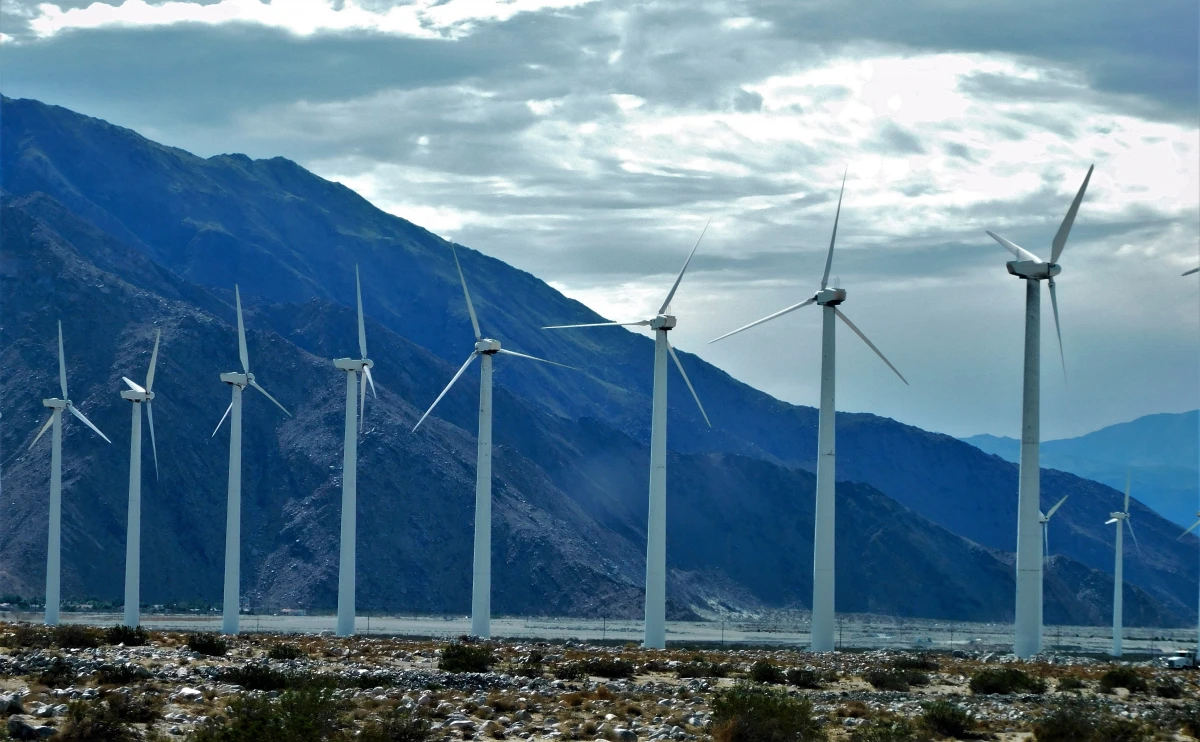 Le rôle crucial des énergies renouvelables dans la transition énergétique