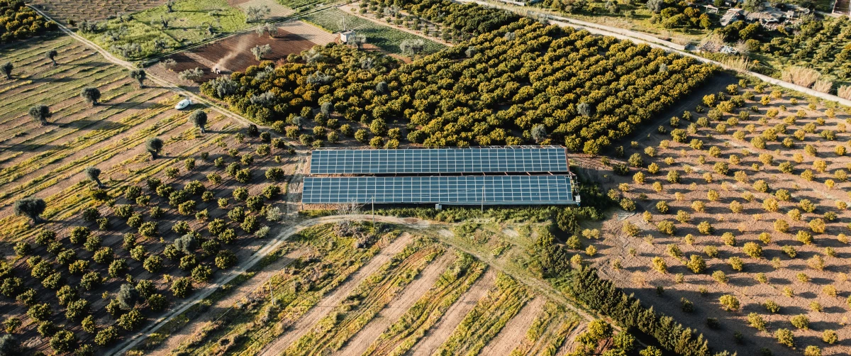 Le rôle crucial des énergies renouvelables dans la transition énergétique